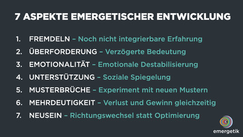7 Muster emergetischer Entwicklung
