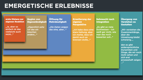 Emergetische Erlebnisse